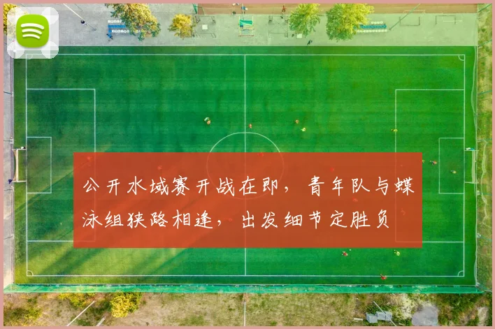 公开水域赛开战在即,青年队与蝶泳组狭路相逢,出发细节定胜负