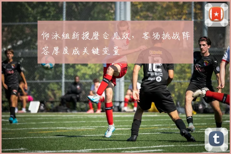 仰泳组新援磨合见效，客场挑战阵容厚度成关键变量