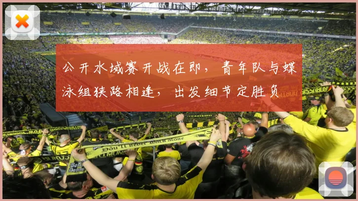 公开水域赛开战在即,青年队与蝶泳组狭路相逢,出发细节定胜负