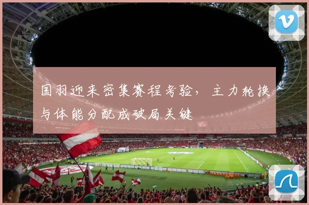 国羽迎来密集赛程考验,主力轮换与体能分配成破局关键