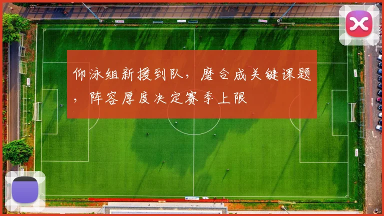 仰泳组新援到队,磨合成关键课题,阵容厚度决定赛季上限